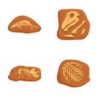 Collection of four detailed prehistoric fossils illustrations, isolated on white vector