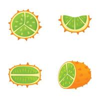 Vibrant collection of citrus fruit illustrations including whole and sliced views vector