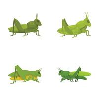 Set of cartoon grasshoppers in various poses vector