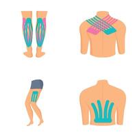 Set of graphics depicting common areas of muscle pain in the human body vector