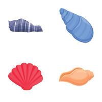 Collection of colorful seashell illustrations vector
