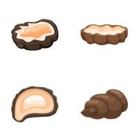 Assorted fresh oysters and clams illustration set vector