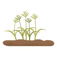 Green grass growing from the ground vector