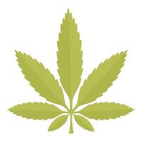 Green marijuana leaf with seven leaflets isolated on white background vector