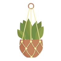 Green home plant hanging in macrame hanger on white background vector