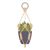 Macrame plant hanger with a succulent is hanging from the ceiling vector