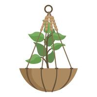 Small tree growing in a hanging pot is suspended from the ceiling vector