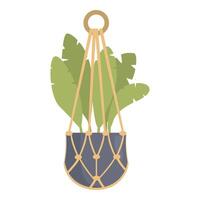 Green tropical houseplant with large leaves growing in hanging planter with macrame vector