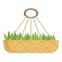 Macrame technique is used to create this plant hanger vector