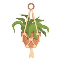 Green houseplant with long leaves hanging in a brown macrame planter vector