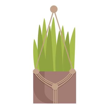 verde planta creciente en maceta colgando en cuerdas aislado en blanco antecedentes vector