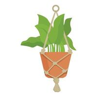 Green houseplant with large leaves is hanging in a macrame plant hanger vector