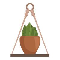 Green home plant hanging from ceiling with macrame on wooden shelf vector