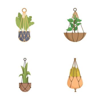 conjunto de colgando interior planta ilustraciones vector