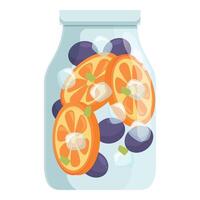 Glass jar filled with water, sliced oranges and plums, refreshing summer drink vector