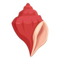 Red conch seashell standing up showing its beautiful spiral shape vector