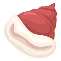Red whelk shell lying on white background showing its mantle vector