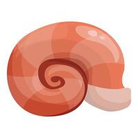 Spiral seashell showing whorls and aperture on white background vector