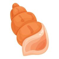 Empty seashell from tropical sea life showing spiral shape vector