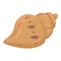 Empty seashell lying on white background representing summer vacation vector