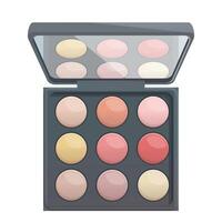 Opened makeup palette showing colorful blush and eyeshadow powder vector