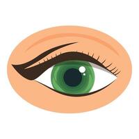 Female green eye with perfectly applied eyeliner staring directly at viewer vector