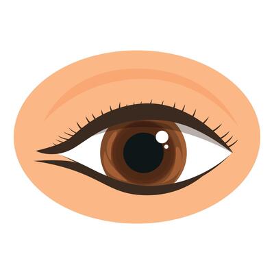 Brown eye with makeup looking right showing detailed iris and pupil
