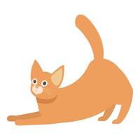 Ginger cat stretching its back and looking up with curiosity vector