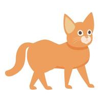 Cute tabby cat walking with its tail up in the air vector