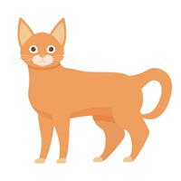 Cute ginger cat standing and looking forward with curiosity vector