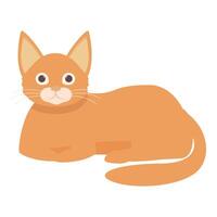 Adorable ginger tabby cat relaxing on white background vector
