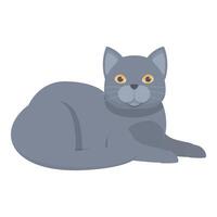 Grey british shorthair cat lying down and relaxing vector