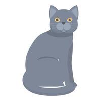 Grey cat sitting and looking forward illustration vector