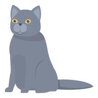 Grey british cat sitting calmly looking forward vector