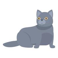 Grey british shorthair cat relaxing on the floor vector