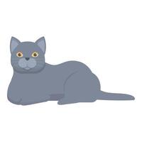 Grey british shorthair cat lying down relaxing vector