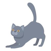 Playful grey cat stretching its body and looking forward vector