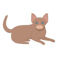 Brown cat lying down with blue eyes looking curious vector