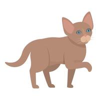 Adorable brown kitten walking with curious expression vector