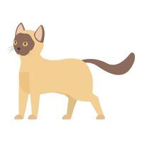 Siamese cat walking carefully and looking around vector