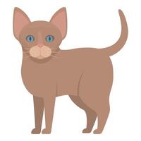Brown cat standing with its tail up in cartoon style vector