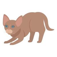 Brown cat getting ready to jump and play vector