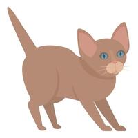Brown kitten with blue eyes getting ready to jump vector