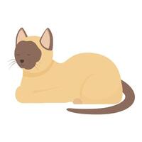 Cute siamese cat relaxing in flat design style vector