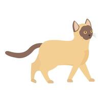Siamese cat walking with curiosity in flat design vector