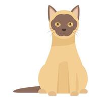 Cute siamese cat sitting and looking forward vector