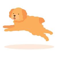 Happy toy poodle jumping in the air with tongue out vector