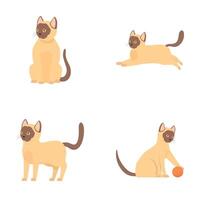 Cartoon siamese cat illustrations set vector