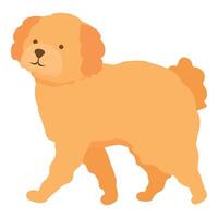 Happy golden doodle dog walking side view vector