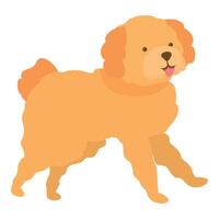 Happy golden doodle dog walking with tongue out vector